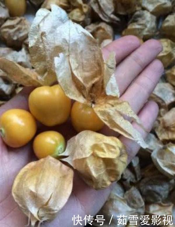 水果|这些水果换了一个洋名字,价格就翻倍了,遇到不要可上当