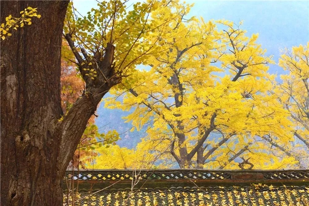 健康,是你最大的责任!