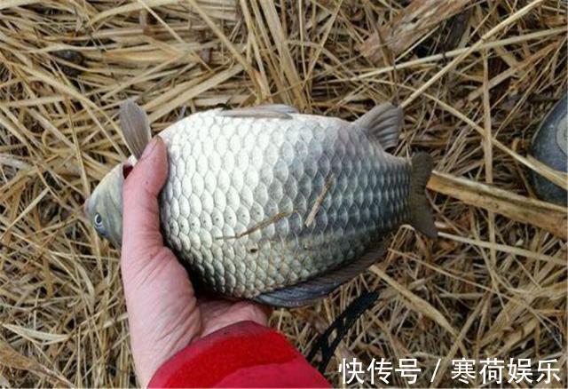 钓鱼新手开饵技巧,让你开拉饵一步到位,掌握好了钓鱼不再难