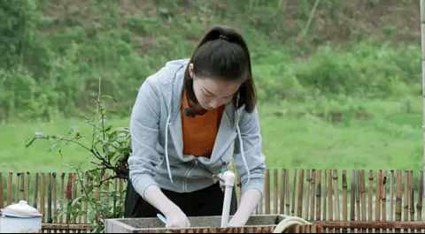 什么是明星们的“真面目”?看看《向往的生活》就知道了