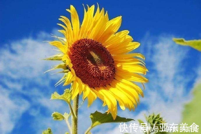 陋室铭$刘禹锡很励志的一首诗，充满正能量，毅力和耐心是成功的关键