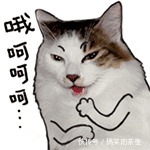 |绝版笑话大全!笑破你的肚子,后果自负!