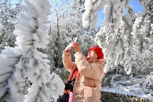 南方的雪景，竟然不输北方