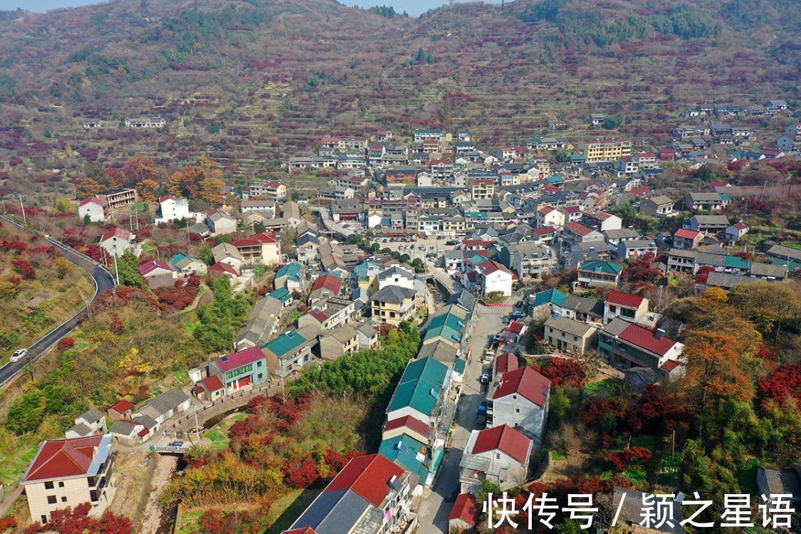 伏氏|四明中心，五角地带，天上人间，住在风景里