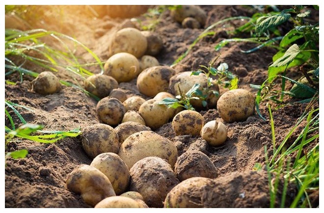 多喝水|糖尿病患者饮食清单公布,收藏一下,来看下“禁忌”和“适宜”