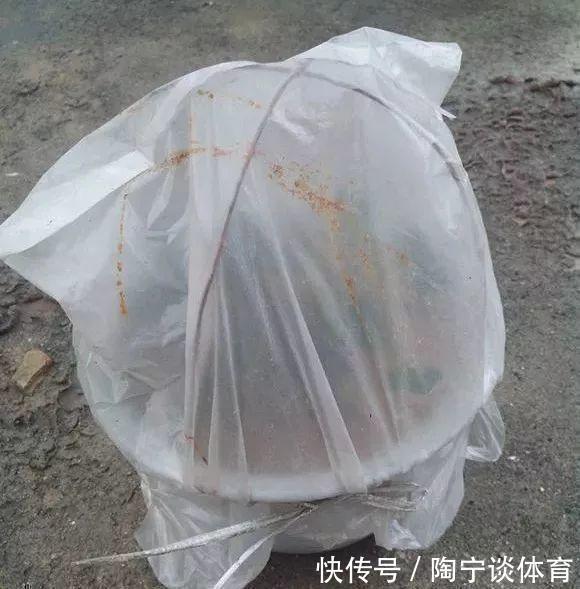 肥料|什么药片水、黄豆水，都不如家里“2种灰”，养花杀菌灭虫、补肥