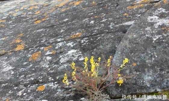 旅游:挂在悬崖峭壁上的紫金城古时神圣不可亲近