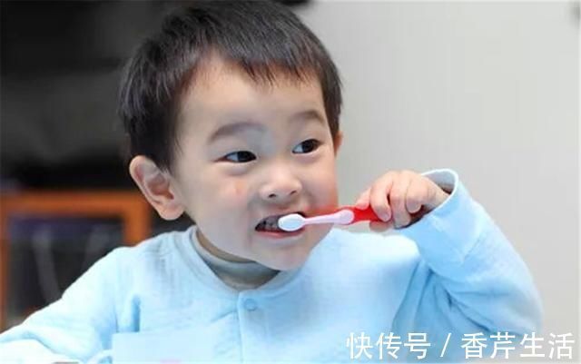 乳牙|捕到巨型石斑鱼,一条就顶人家一箩筐,渔民开心的一天