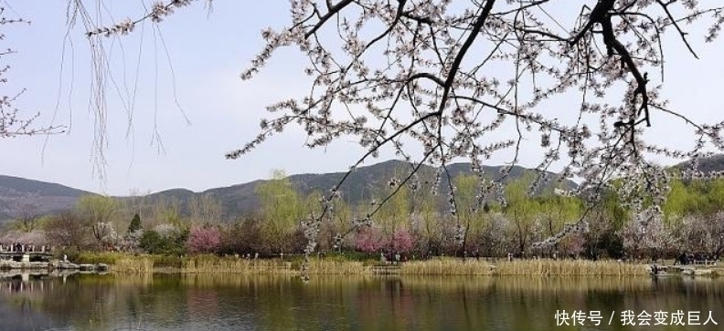 送别|无名氏写下一首送别诗，对唐诗产生了巨大的影响，很多人都引用过