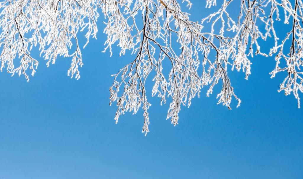 凝霜|凝霜挂雪白狼峰雾凇迎客来