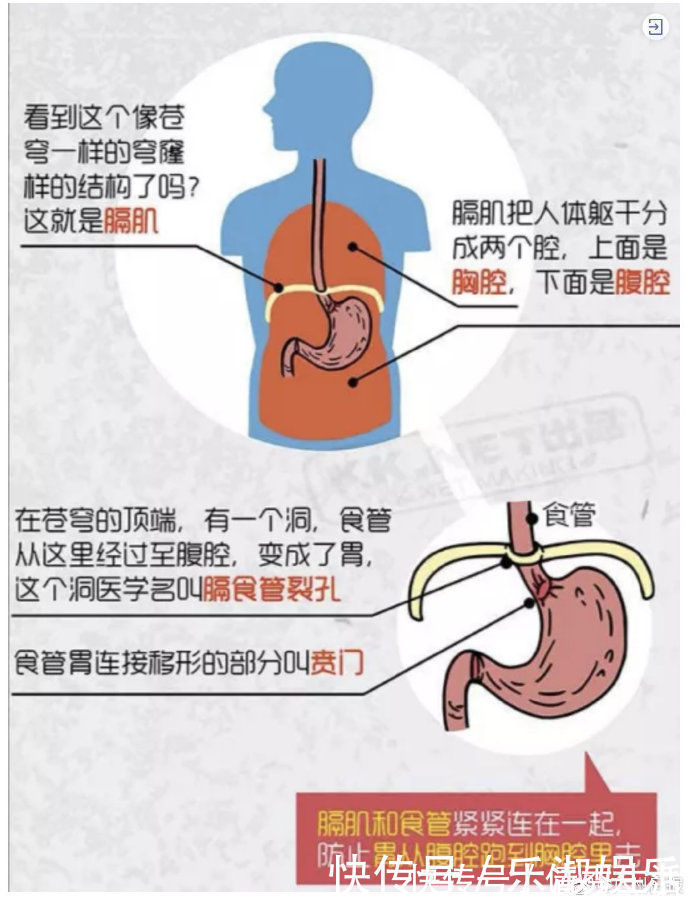 医生|频繁呕吐就诊医生发现1岁男童的胃跑进胸腔