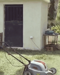 GIF|搞笑GIF:快看镜头,我要多拍几张留作纪念