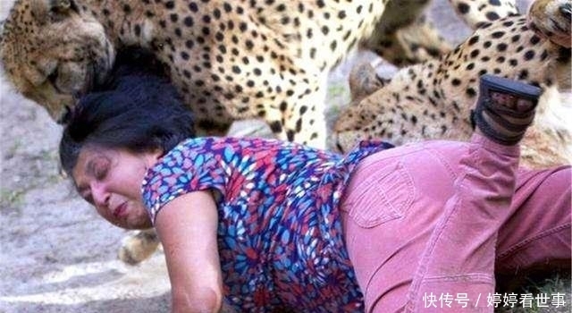 金钱豹|19岁少女为了救人,徒手打死160斤的金钱豹,人称当代“女武松”