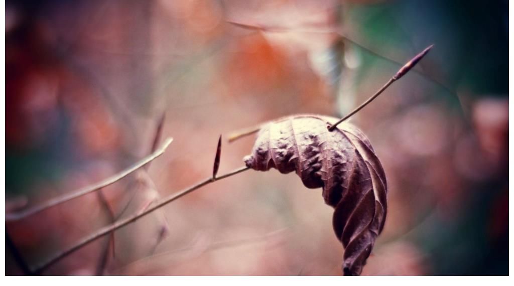 治愈放松很重要，细心点充分能发现自己的方式