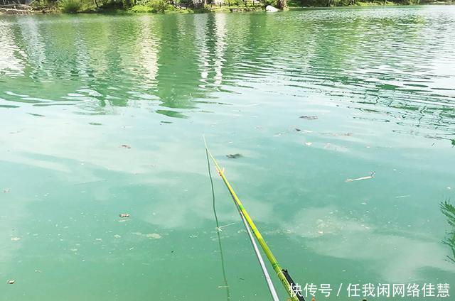 政府出资修钓台,提供垂钓好去处!享受的同时莫忘自觉,方能长久