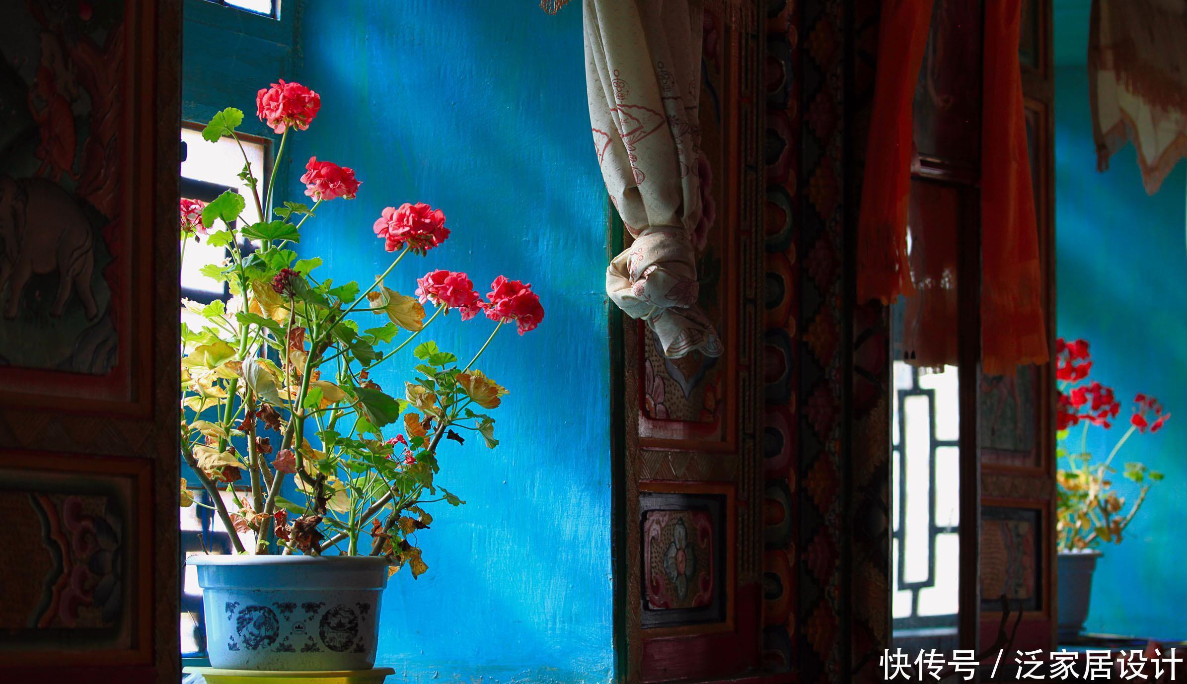 养花的6个“误区”,很多人都不自知,难怪养不好花