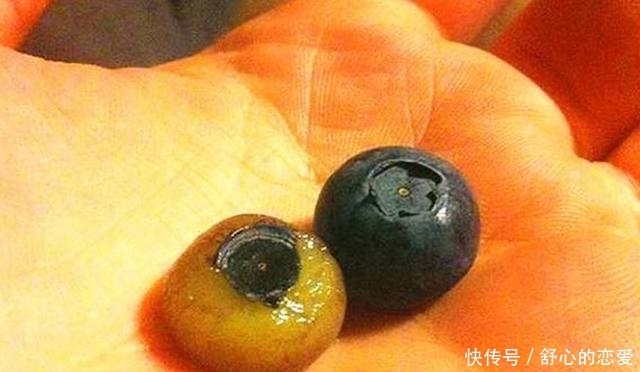 美女|水果新吃法:一个比一个厉害,不过我只服最后吃甘蔗的美女!