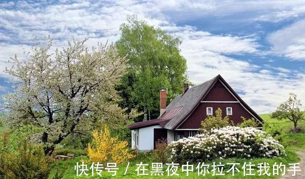 别墅|国外的别墅那么美，为什么农村人有地都不愿意建