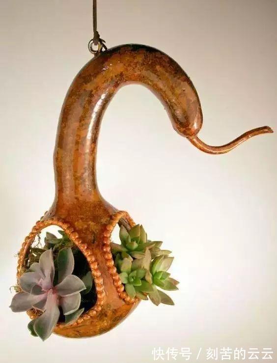 茶叶罐$牛x玩法! 这种葫芦的一定不能错过, 老玩家都在玩!