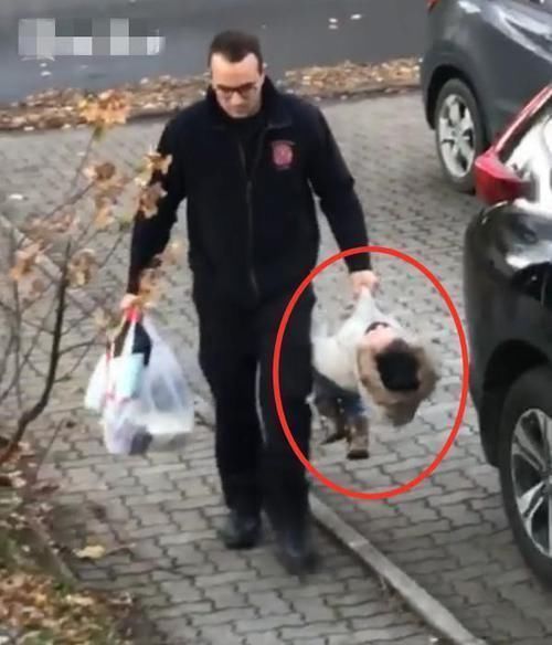 淡定|3岁女儿躺在地上不肯走,宝爸淡定处理获惊叹:上哪买来的孩子