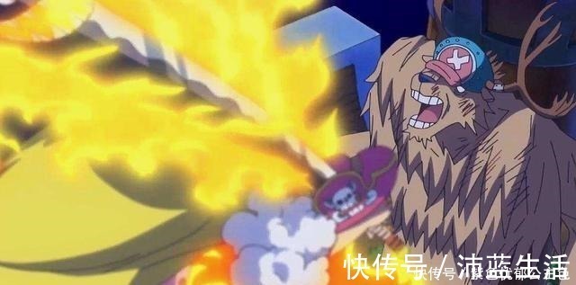 海贼团|海贼王悬赏金倒数前5名,战力像是反着排的,乔巴战力遥遥领先