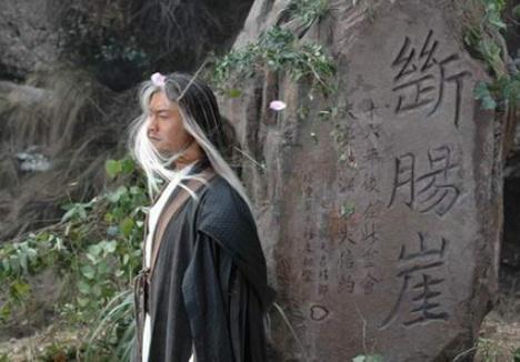 杨过一生中仅有一个“徒弟”名气比杨过大,武功比杨过还高