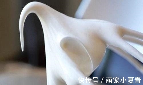 家里没有奶油吗?教你一招,在家就能轻轻松松制作奶油