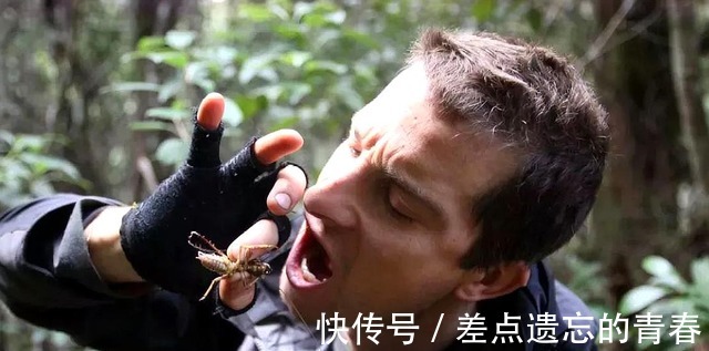 部队|“贝爷”跟“德爷”谁更厉害你看他们服役的部队是哪一支