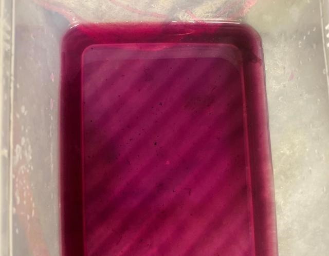 花青素|立秋后遇到它可买些,3块1斤,改善睡眠,晚上睡得香