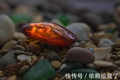 活血|有一味中药李时珍说是虎之精魄,能养心安神调失眠,还能活血通经