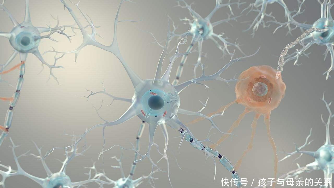 测试题|3道简单的老年痴呆测试题,全答对的恭喜了!