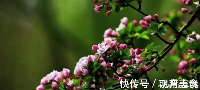 讽刺@杜牧最唯美的一首诗,通篇更是美得犹如一幅画,同时还充满讽刺