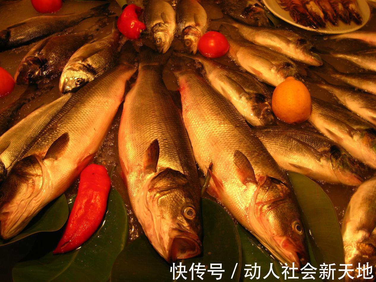 食物|长寿难道难于上青天?多吃5种食物,身体健康长寿不是梦