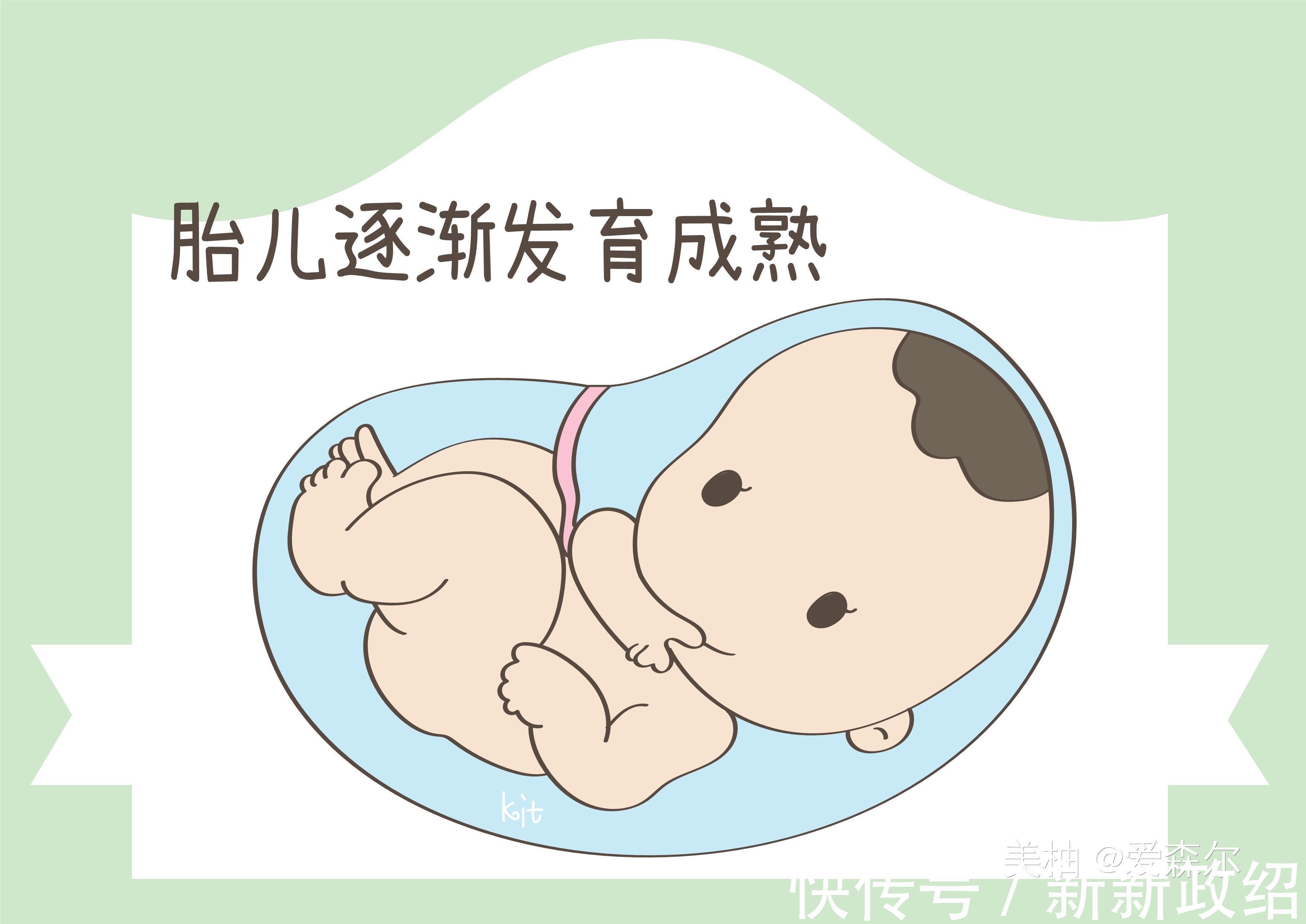 孕妇|有午睡习惯的孕妈，宝宝智商更高，别不当回事
