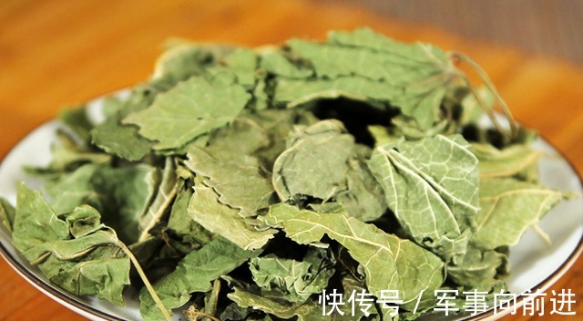 桑叶茶|桑叶茶简单自制方法，只需3步，1分钟学会，常喝桑叶茶营养好处多