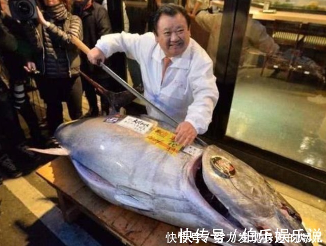 金枪鱼|日本人这样吃金枪鱼？鱼骨里的“脊液”直接吞，这波操作太猛了！