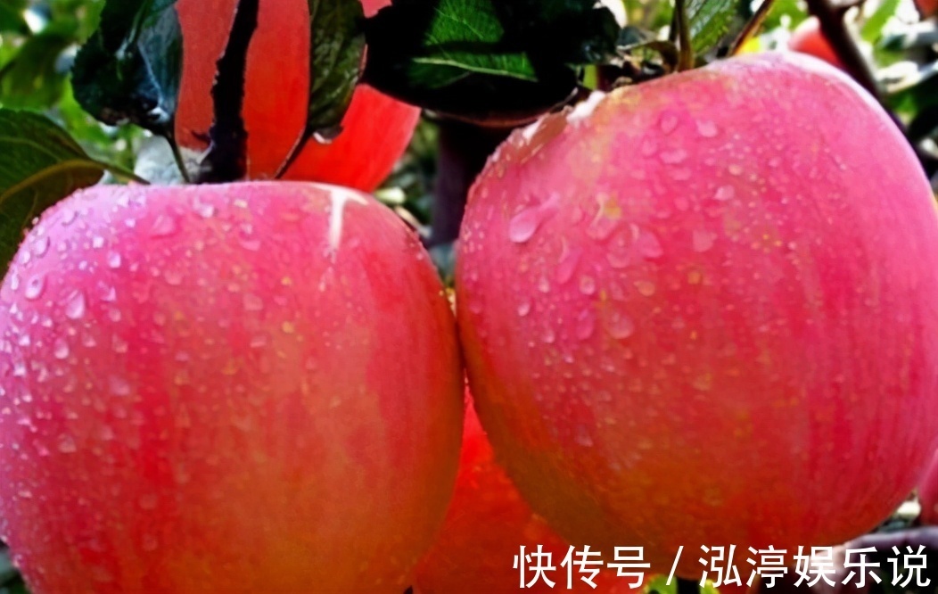 食物|女性养生要会吃，试试吃的食物，养肝补肾，淡斑美容，吃了都好