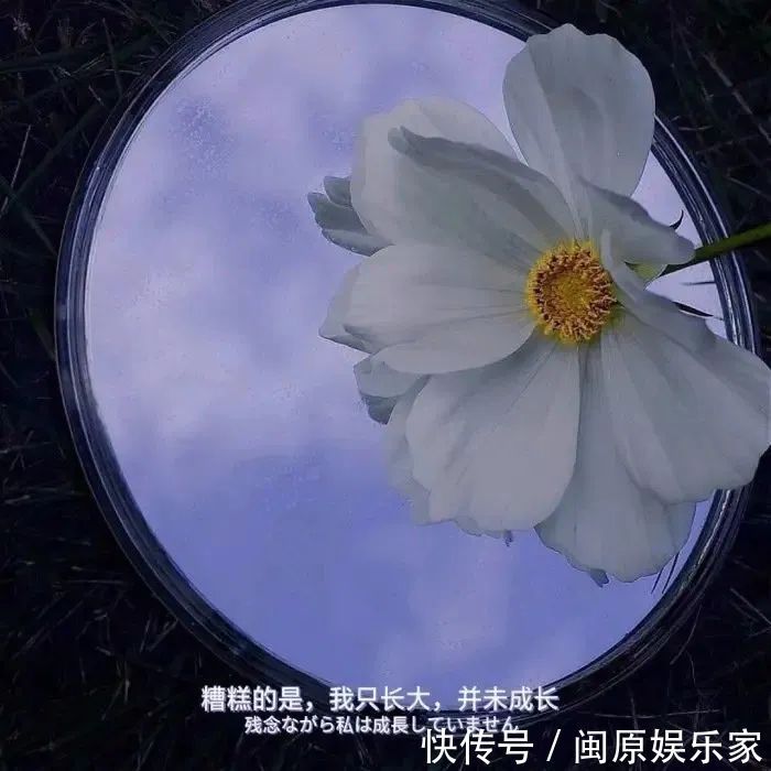 村上春树|神仙·封面丨高情已逐晓云空,不与梨花同梦