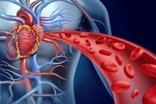 穴位|每天用热水泡脚,到底是养生还是慢性自杀?医生终于说出实话