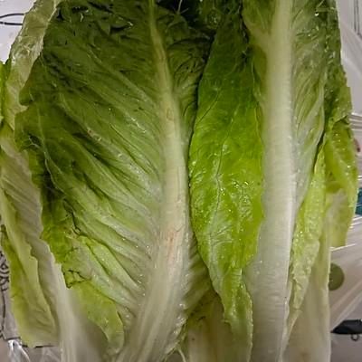 低卡料理：蔬菜三明治