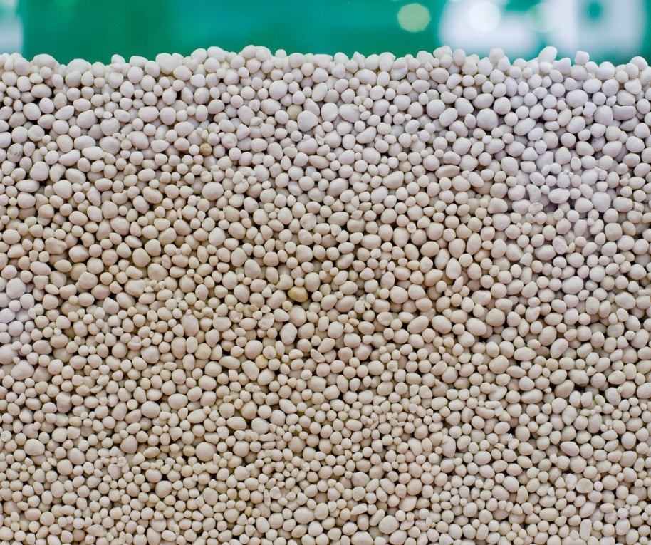 春天养兰花要学会“4变”，越变苗越多，还长得格外壮