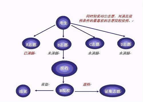 平行志愿、投档线、投档比例、院校专业组，这些名词你知道吗？