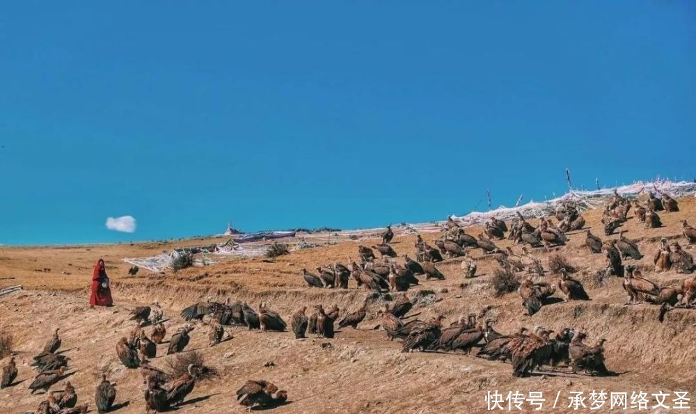 泰国|【全球FUN享】色达的昼与夜,转山转水转佛塔