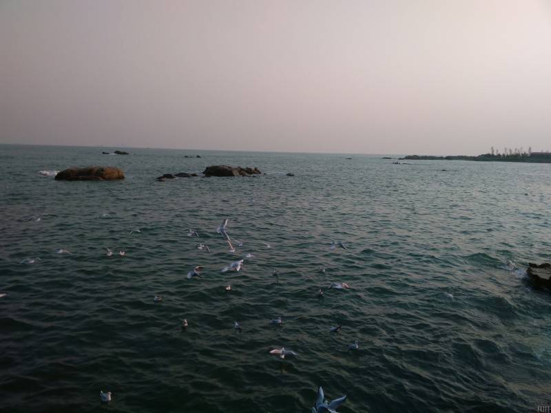 星座|恋爱中比较被动的星座