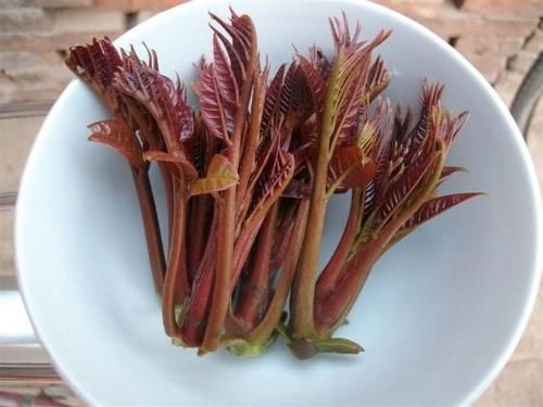 冬季养生正当时，推荐几种食物，益气健脾，厚补胃肠，延缓衰老