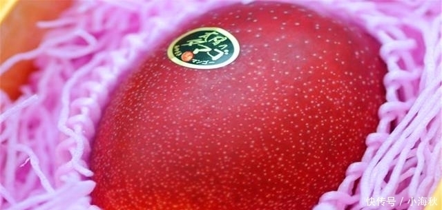 世界上“最贵”的5种水果，吃过3种就是土豪，没钱的我看看就好