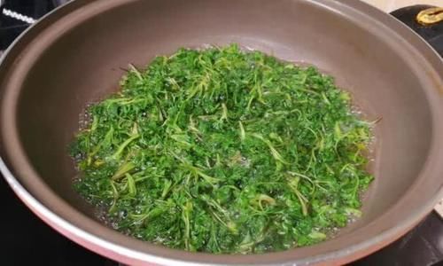 与大家分|4月包饺子别错过此菜,手脚冰凉最怕它,女性要多吃,比韭菜还鲜