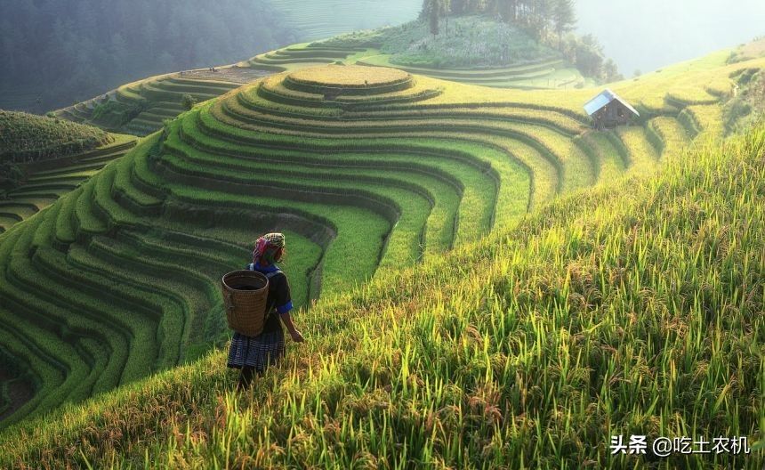 两个儿子|老人去世土地确权归谁？两个儿子土地确权归谁？