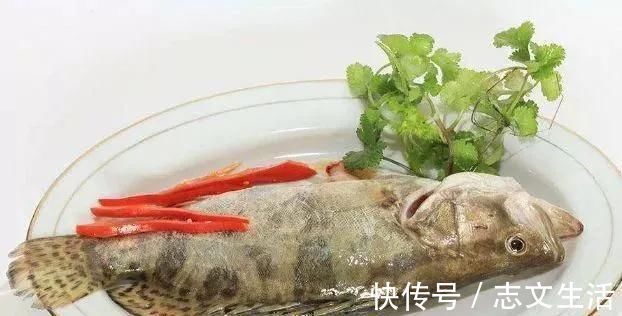鲫鱼|中国最好吃的4种鱼,你吃过哪些?吃过2种以上的,绝对是土豪级!