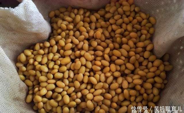 在家|教你在家发豆芽,不用土壤不用肥料,3天就能吃,脆嫩营养又卫生